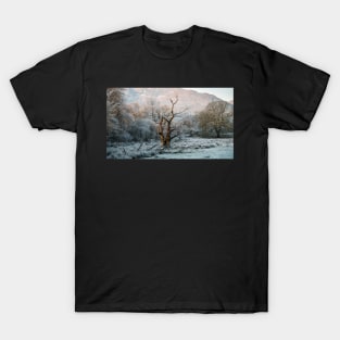 Winter Sun T-Shirt